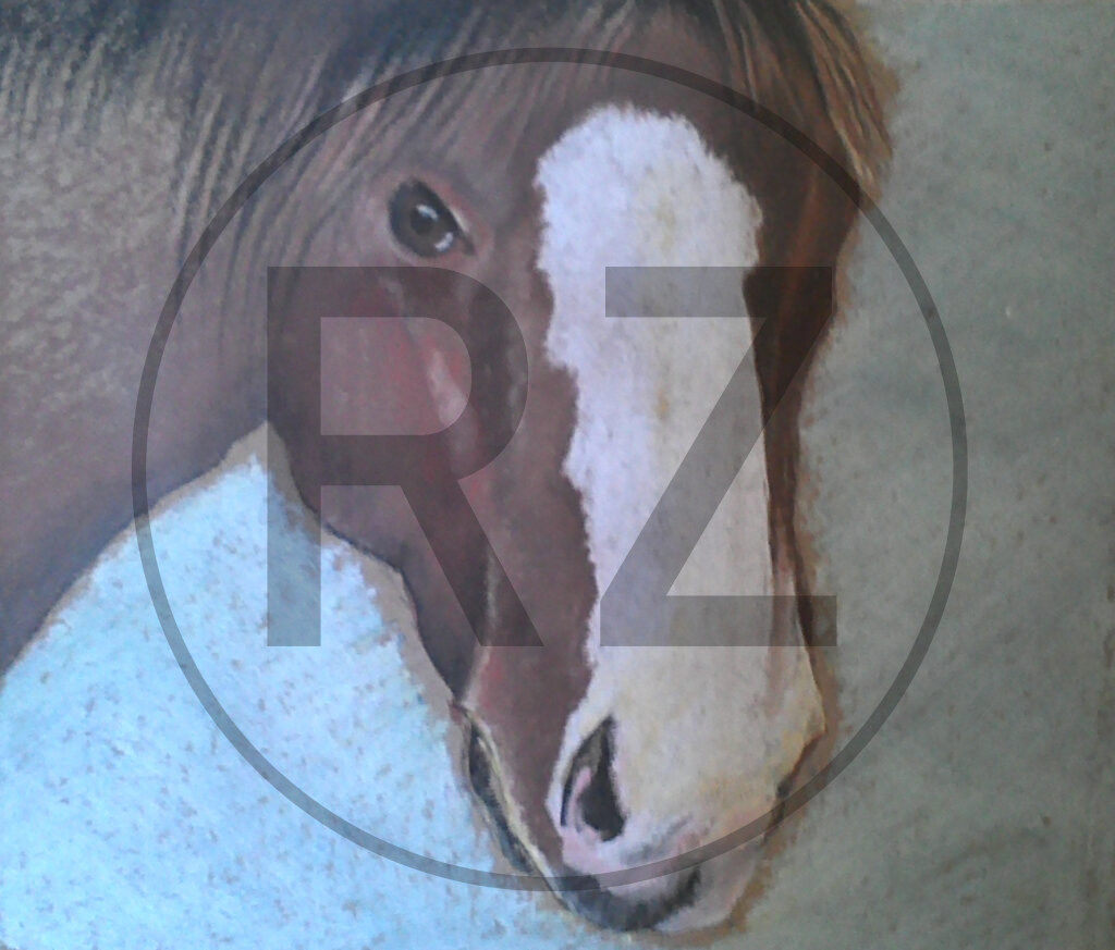 Pastel drawing of a horse
